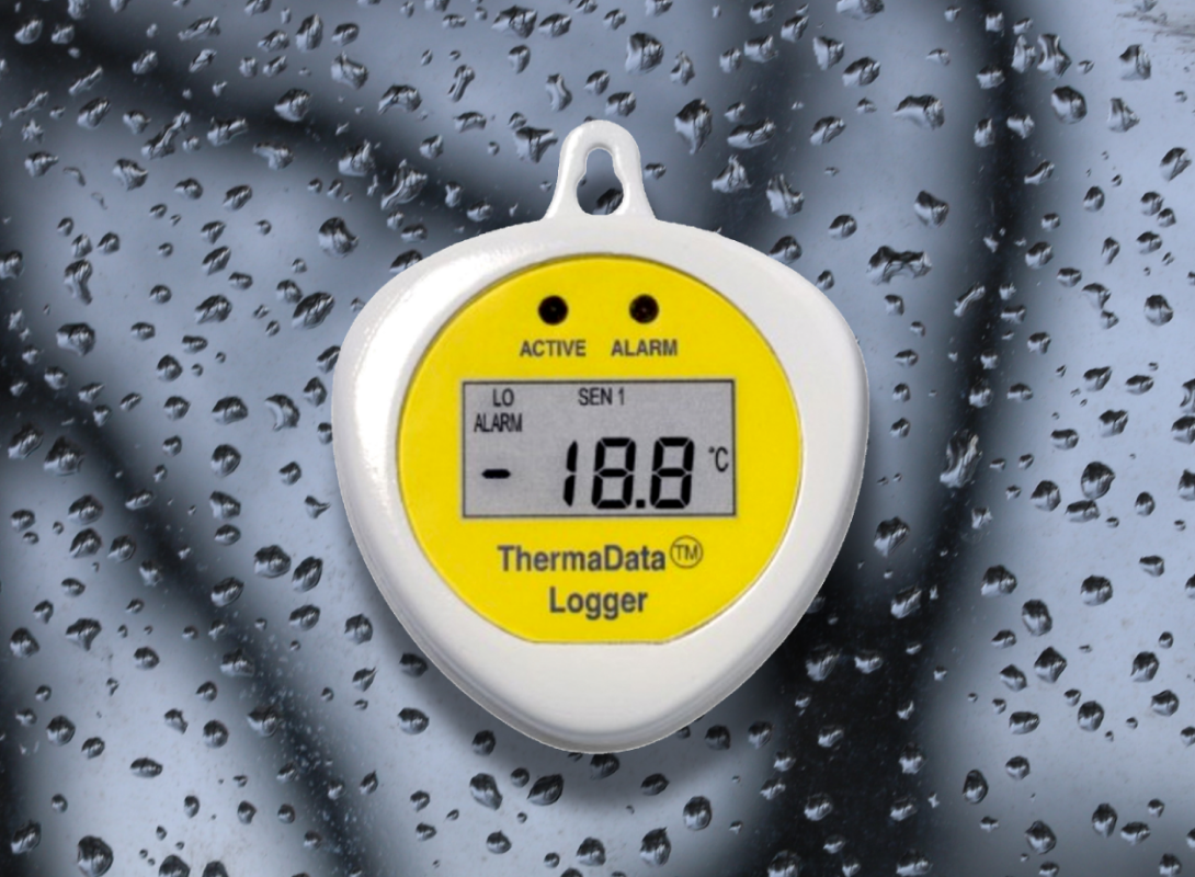 Professional recording thermometer – Thermometre.fr