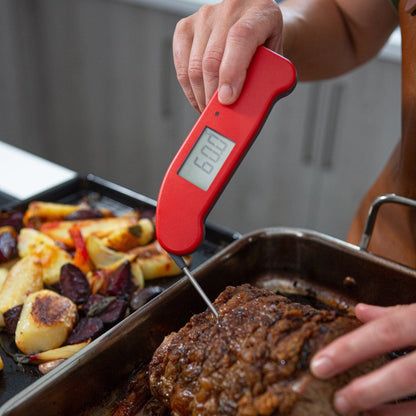 Thermapen® One